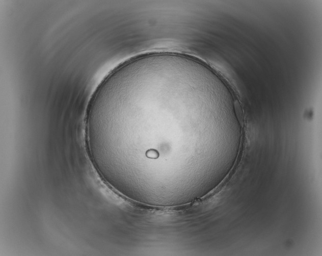 X0000111031288200907091536