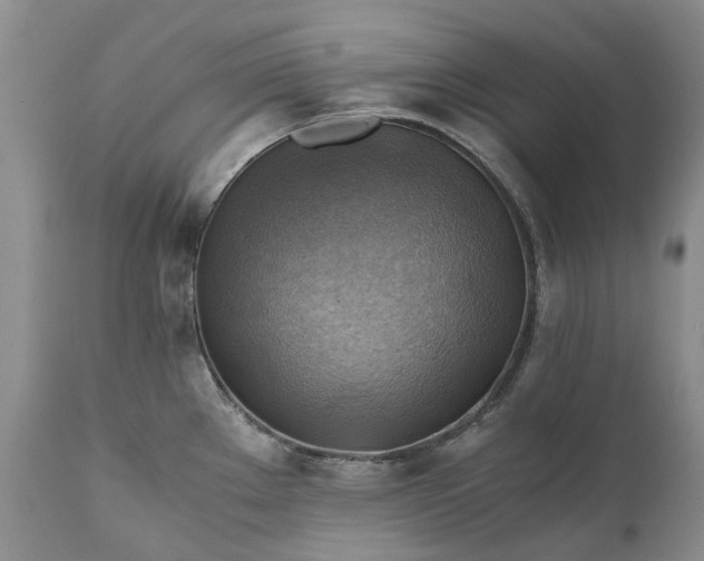 X0000111031289200907091536