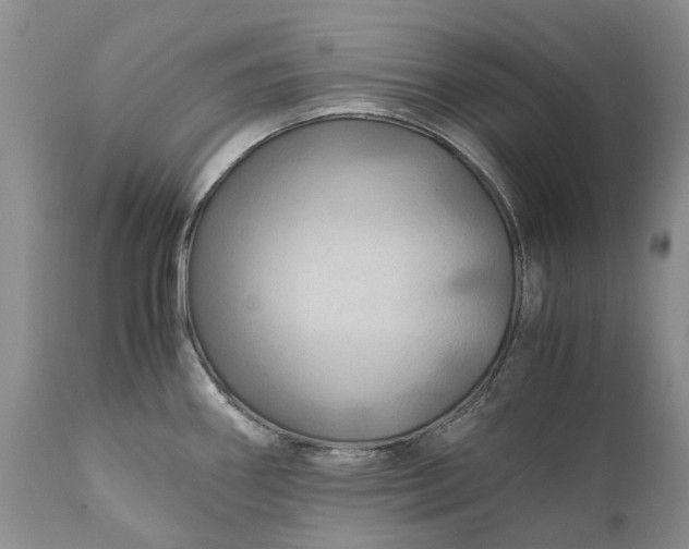 X0000111031290200907091536