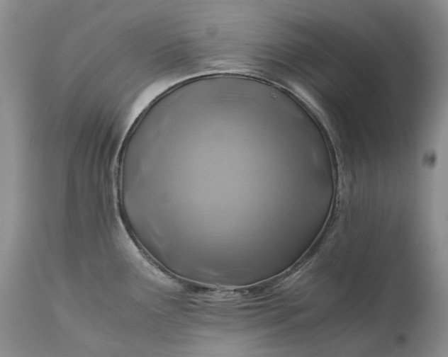 X0000111031291200907091536