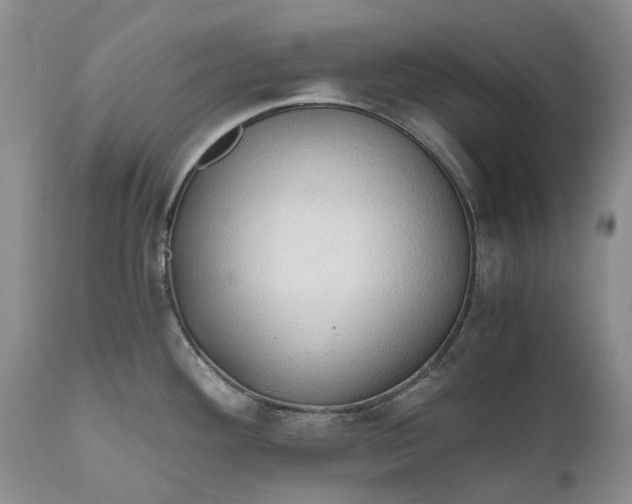 X0000111031292200907091536