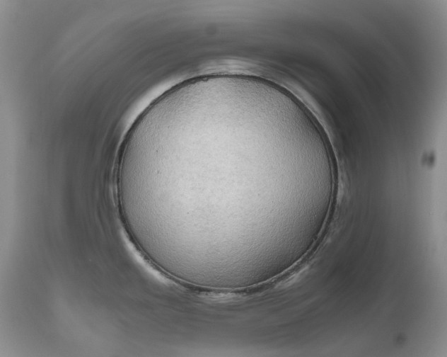 X0000111031293200907091536