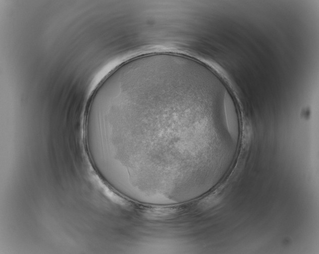 X0000111031294200907091536