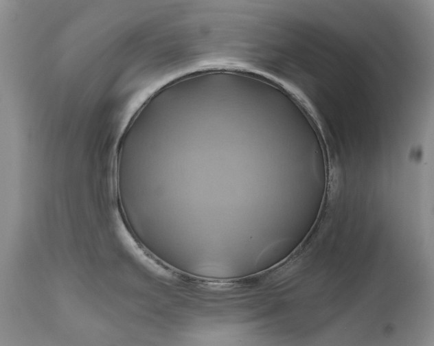 X0000111031295200907091536
