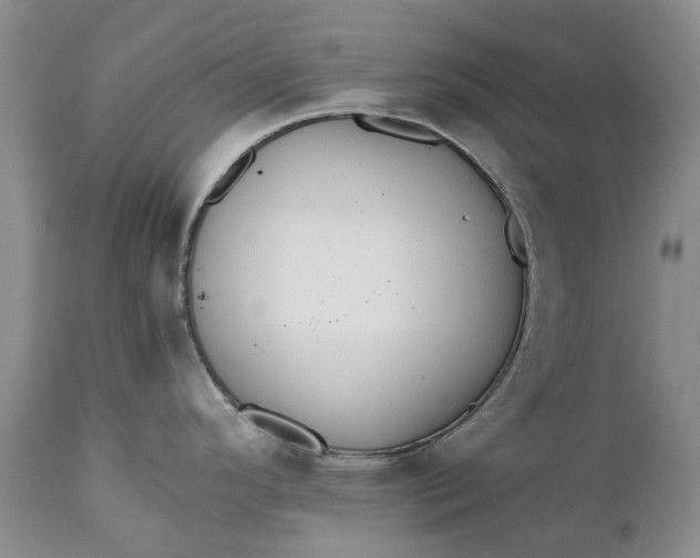 X0000111031296200907091536