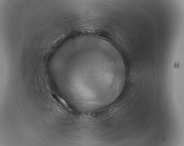 X0000111031297200907091535