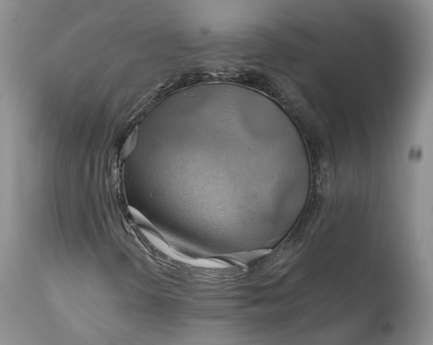 X0000111031298200907091535