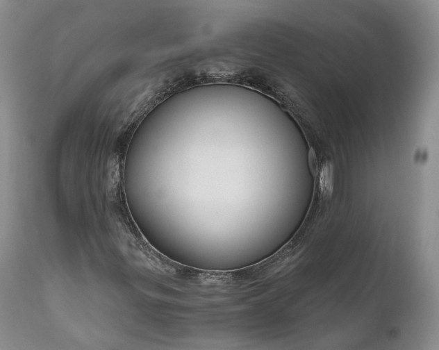 X0000111031299200907091535