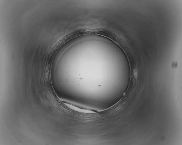 X0000111031300200907091535