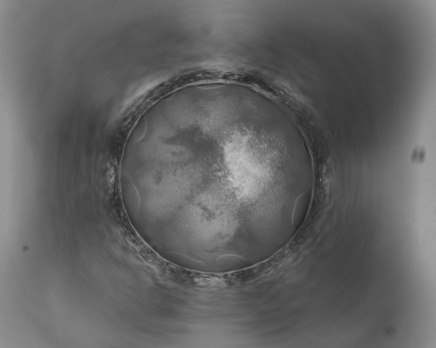 X0000111031302200907091535