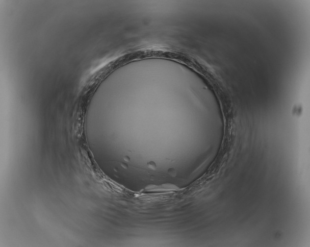 X0000111031303200907091535