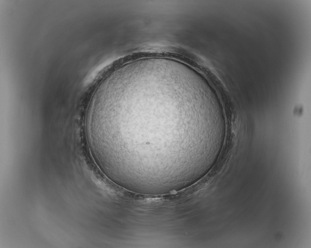 X0000111031304200907091535