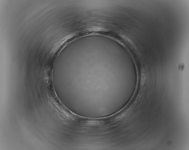 X0000111031305200907091535