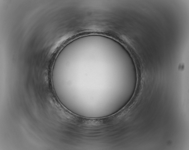 X0000111031307200907091535