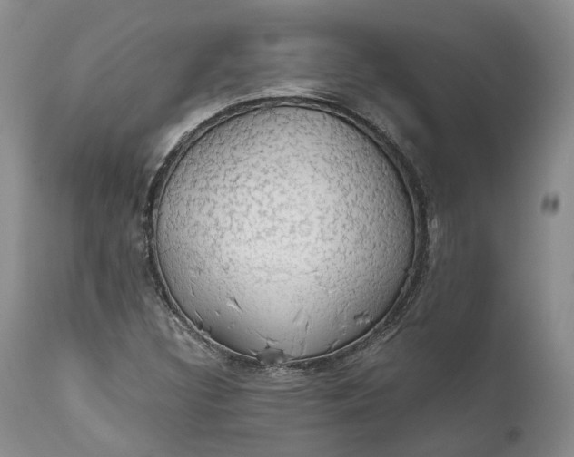 X0000111031308200907091535