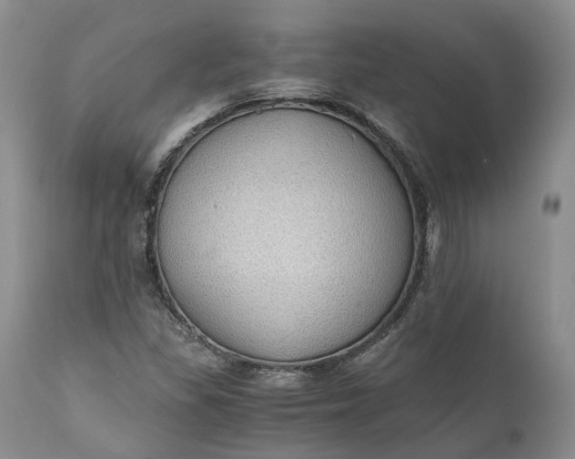 X0000111031309200907091535