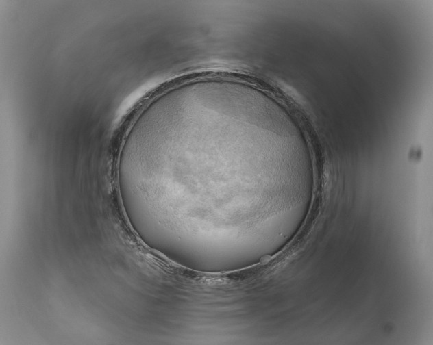 X0000111031310200907091535