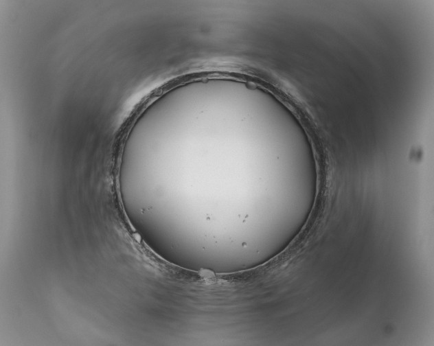 X0000111031312200907091535