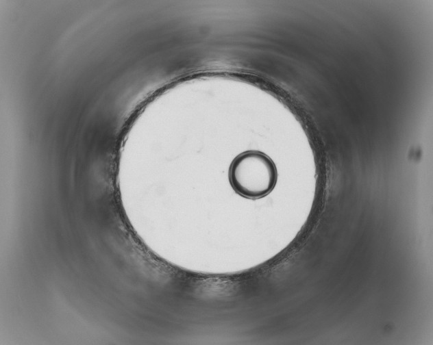 X0000111031314200907091535