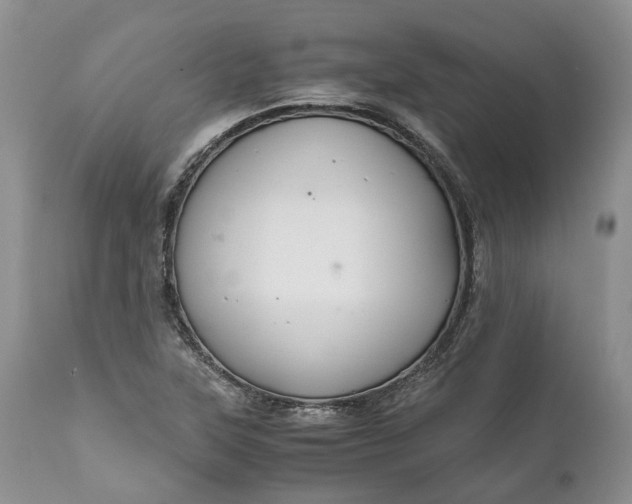 X0000111031315200907091535