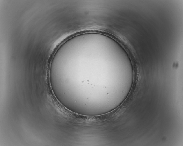 X0000111031316200907091535