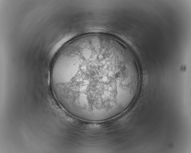 X0000111031317200907091535