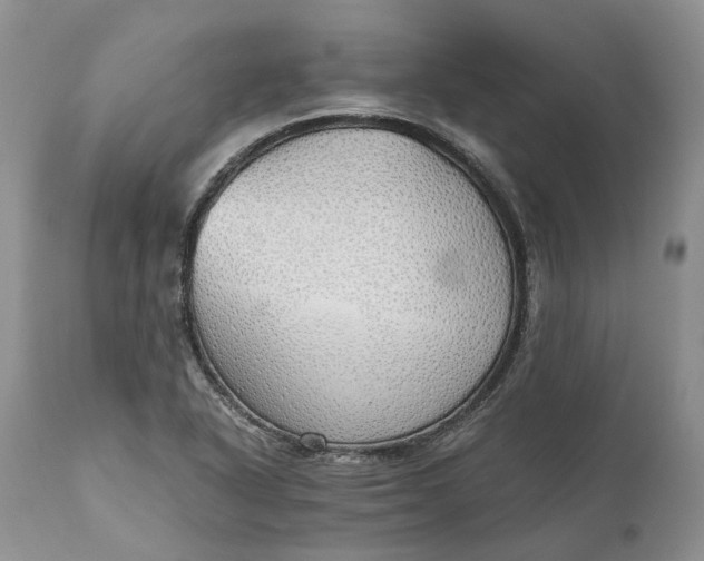 X0000111031318200907091535