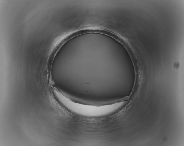 X0000111031319200907091535