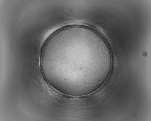 X0000111031320200907091535