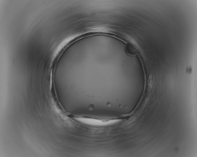 X0000111031323200907091535