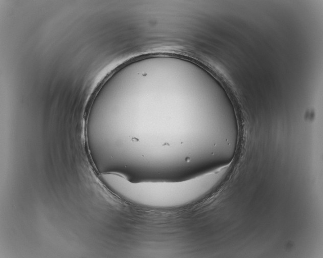 X0000111031324200907091535