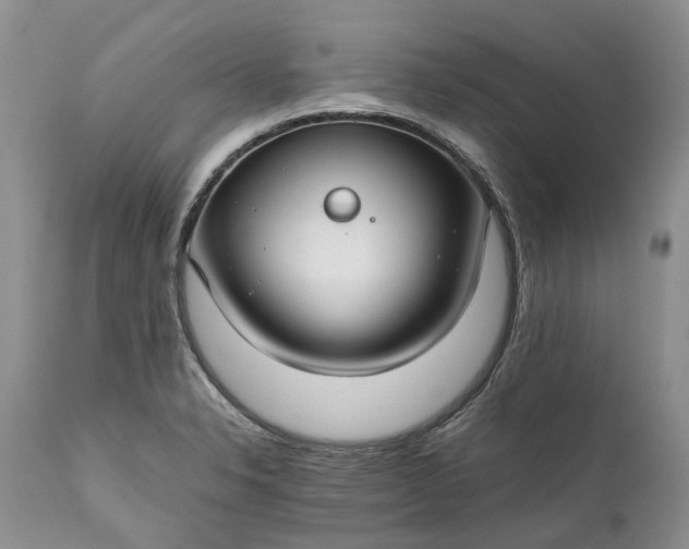 X0000111031326200907091535