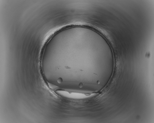 X0000111031327200907091536