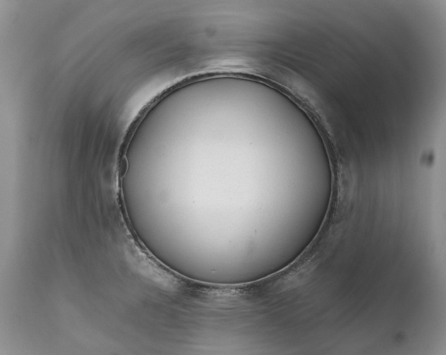 X0000111031328200907091536