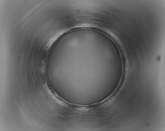 X0000111031329200907091536