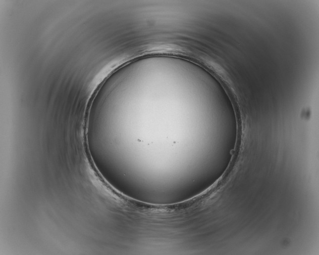 X0000111031330200907091536