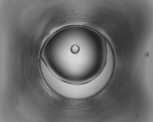 X0000111031332200907091536