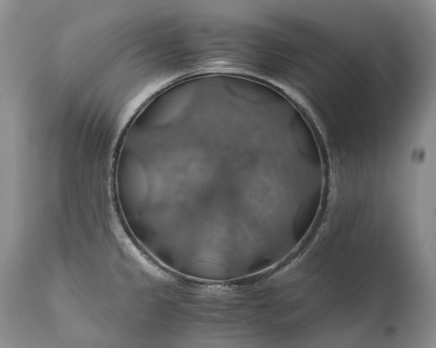X0000111031333200907091536