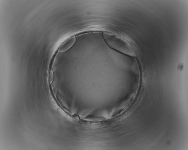 X0000111031334200907091536