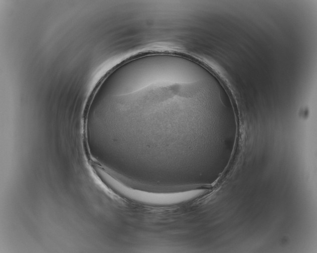 X0000111031335200907091536