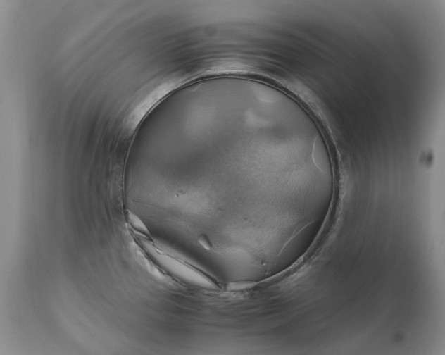 X0000111031337200907091536
