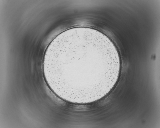 X0000111031338200907091536