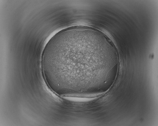 X0000111031339200907091536