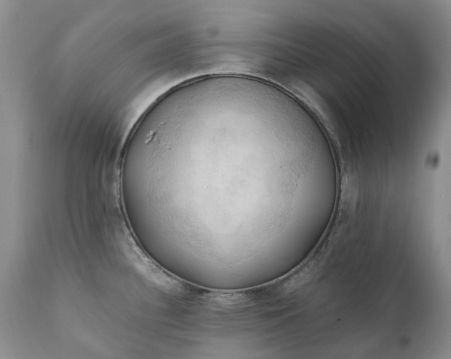 X0000111031340200907091536