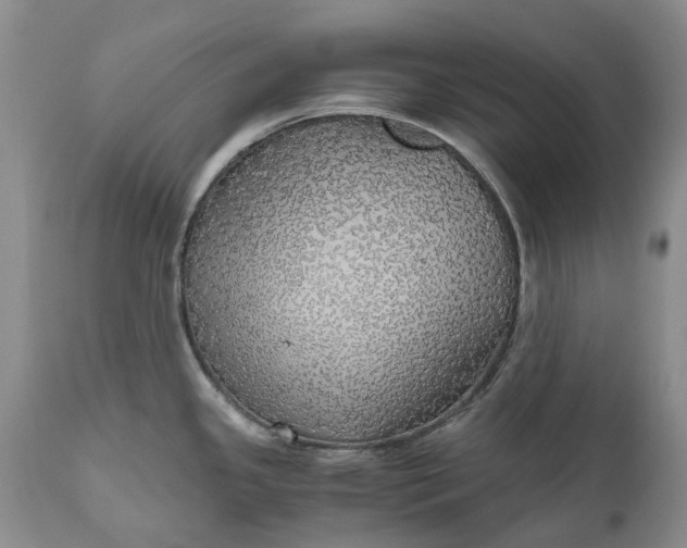 X0000111031341200907091536