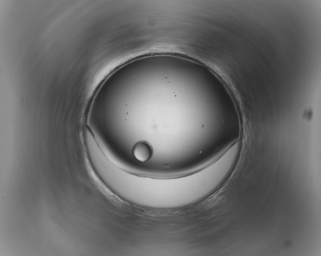 X0000111031342200907091536