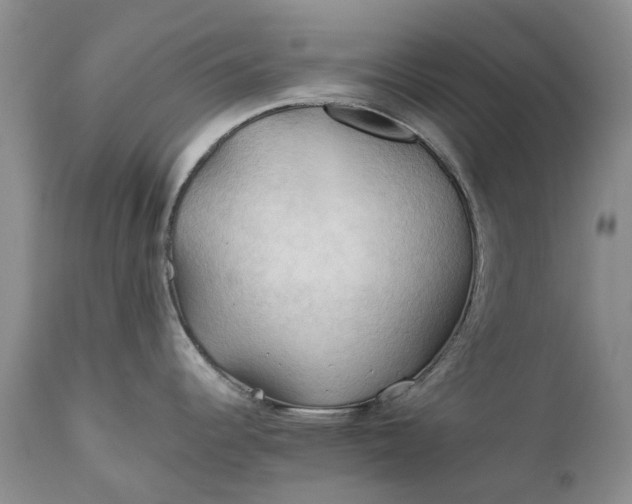 X0000111031344200907091536