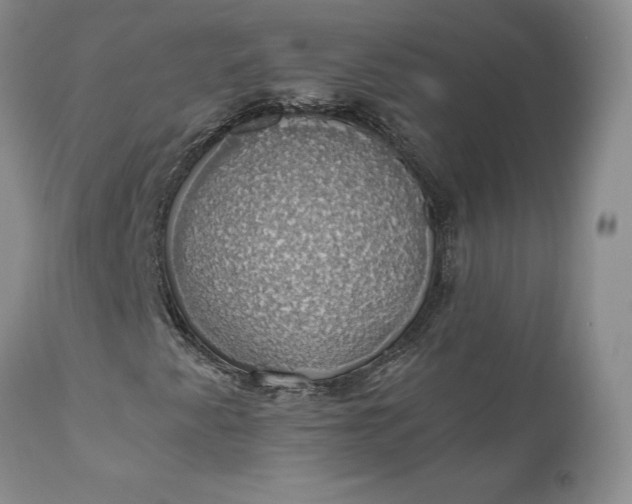 X0000111031345200907091535