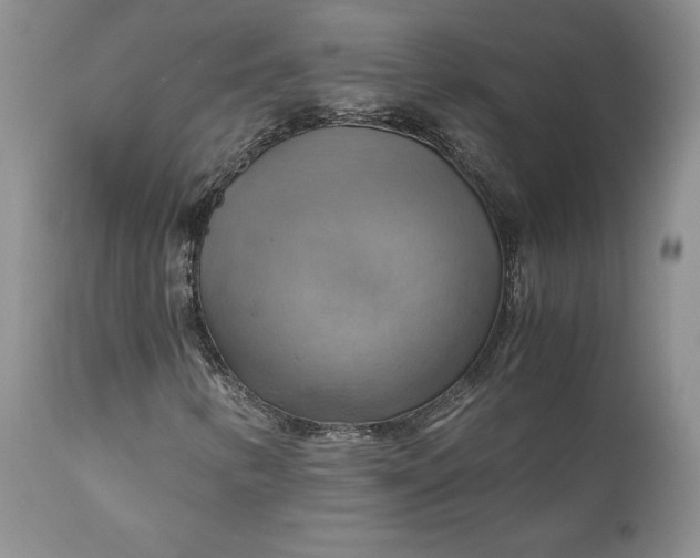 X0000111031346200907091535