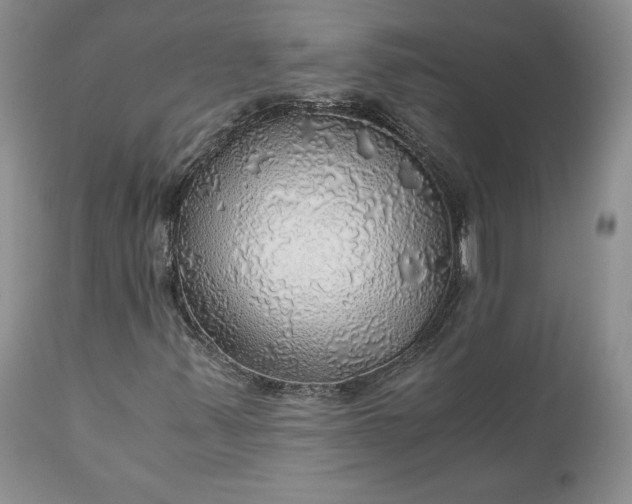 X0000111031347200907091535